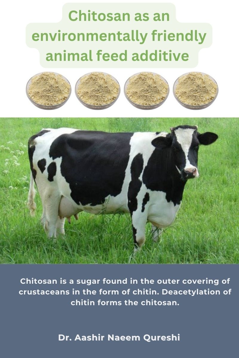 Chitosan as an environmentally friendly animal feed additive